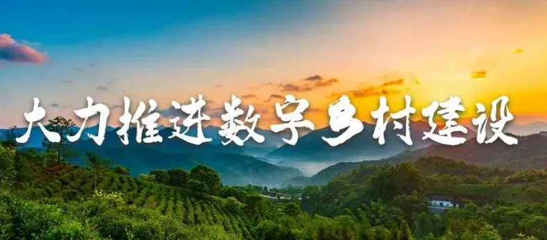 数字乡村-数字乡村建设：实现城镇化和乡村振兴的有机衔接