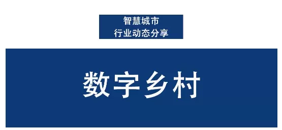 数字乡村-数字化农业管理：优化农业生产的新手段