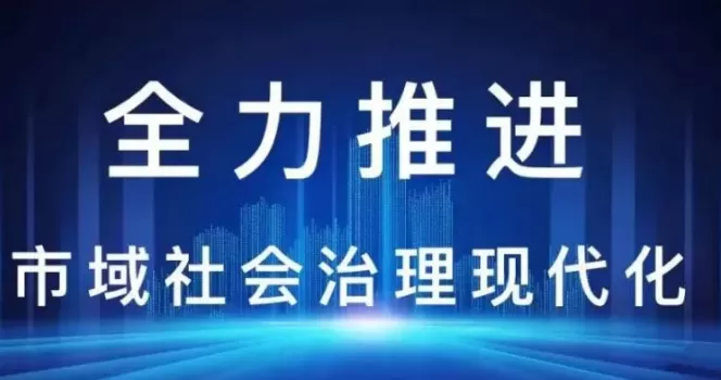 社会治理平台-新时代，新视野：市域社会治理的创新之路