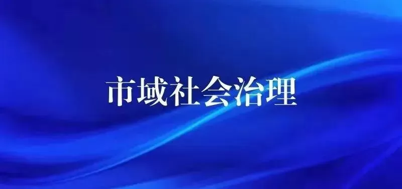 社会治理平台-市域社会治理如何解决社会安全维护