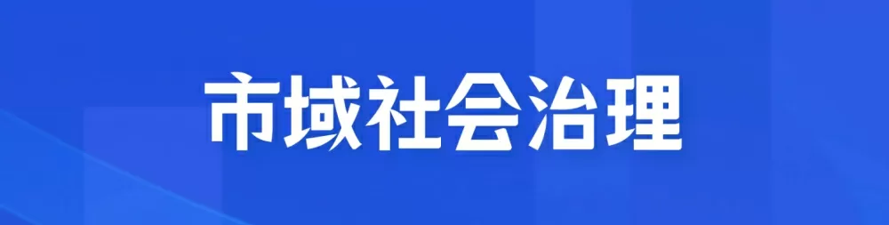 社会治理平台-市域社会治理与公共安全：共建和谐社会的重要支柱