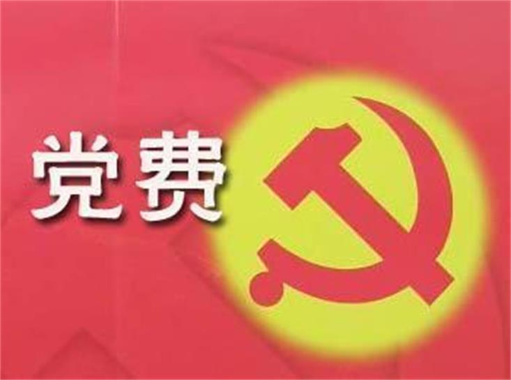 智慧党建-智慧党建怎样优化党费缴纳流程？